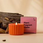 Indoor Durable Aromatherapy Soy Candles Bedroom